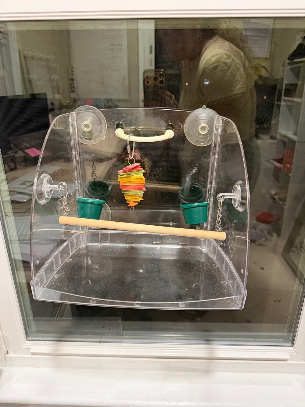 Clear Window Bird Cage with Green Feed Cups and Colorful Toy